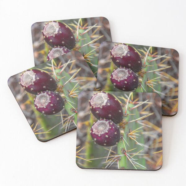 Item preview, USA. Texas. Guadalupe Mountains National Park. Prickly Pears. designed and sold by vadim19.