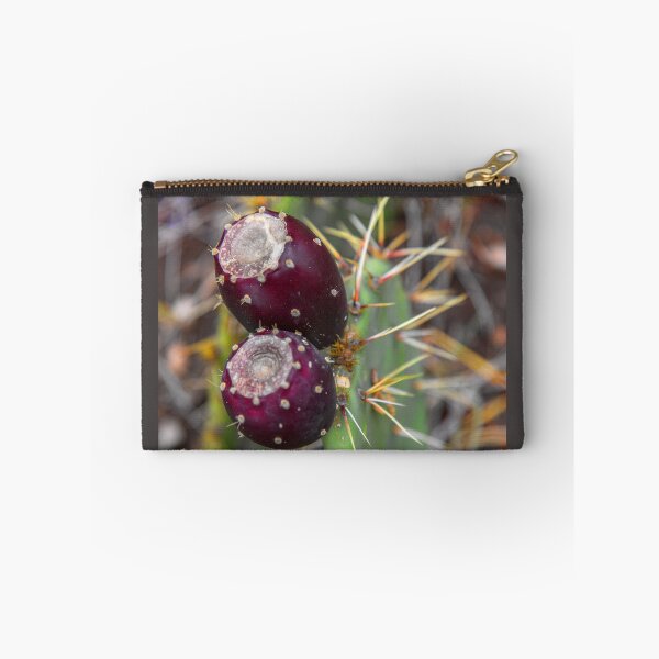 Item preview, USA. Texas. Guadalupe Mountains National Park. Prickly Pears. designed and sold by vadim19.
