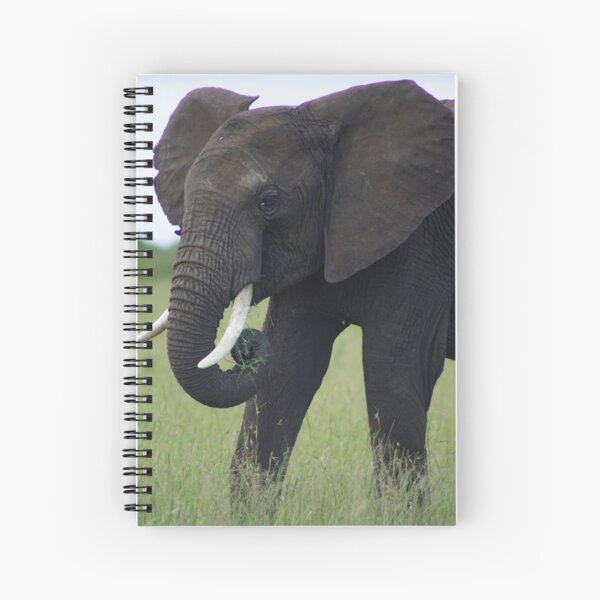 An African Elephant in Kenya Spiral Notebook