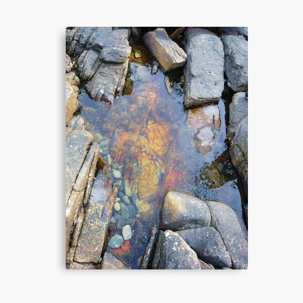 Landscape Photography - Acadia 02 Canvas Print