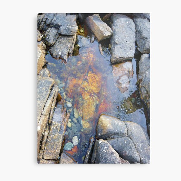 Landscape Photography - Acadia 02 Metal Print