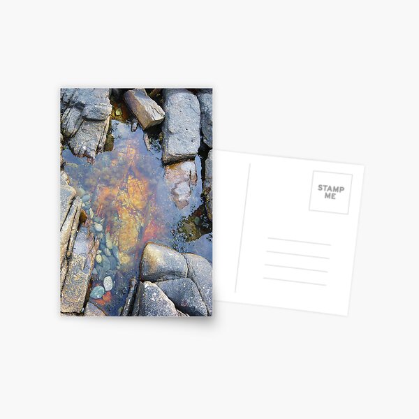 Landscape Photography - Acadia 02 Postcard