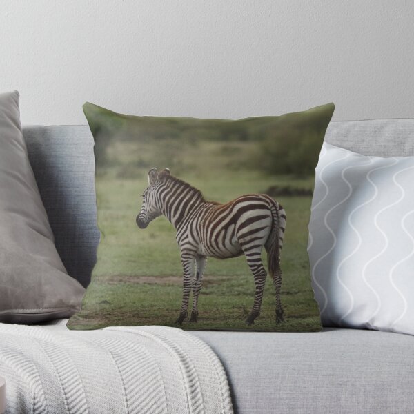 Young Zebra in the Mara Throw Pillow
