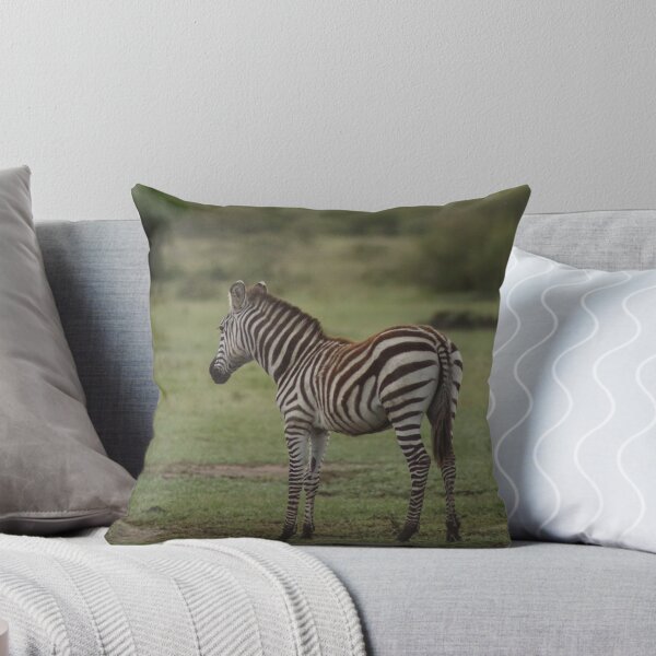 Young Zebra in the Mara Throw Pillow