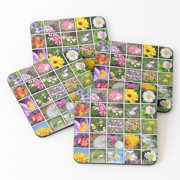Item preview, Most famous flowers designed and sold by Grégory DUBUS.