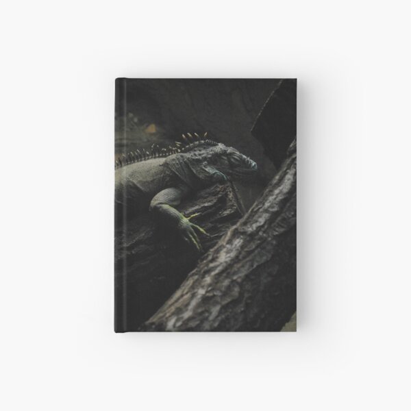 A Green Iguana Hardcover Journal
