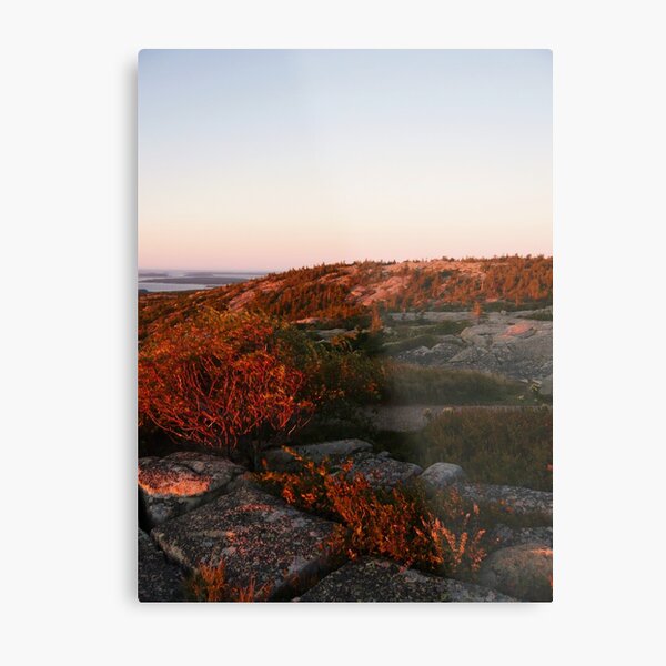 Landscape Photography - Acadia 08 Metal Print