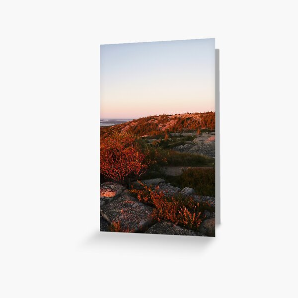 Landscape Photography - Acadia 08 Greeting Card