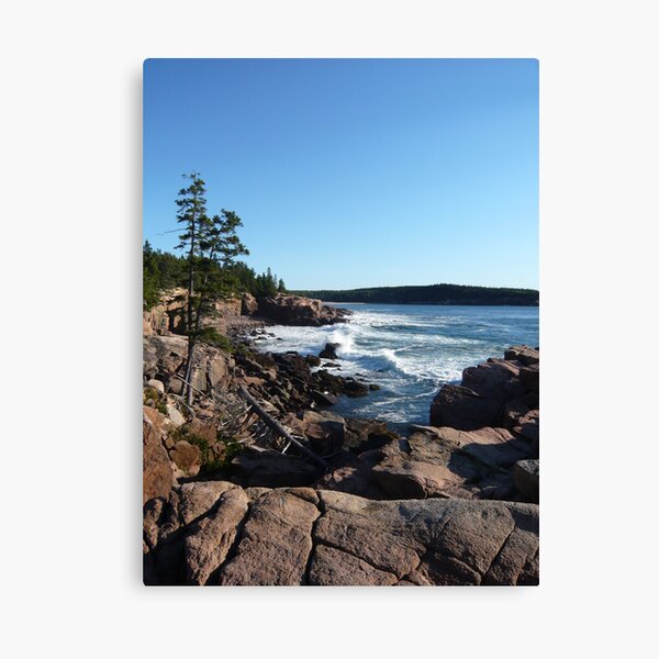 Landscape Photography - Acadia 09 Canvas Print