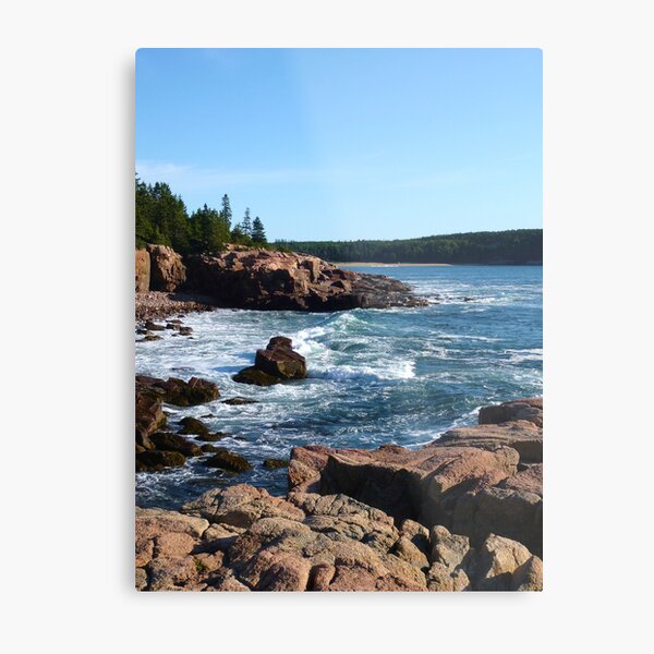 Landscape Photography - Acadia 10 Metal Print