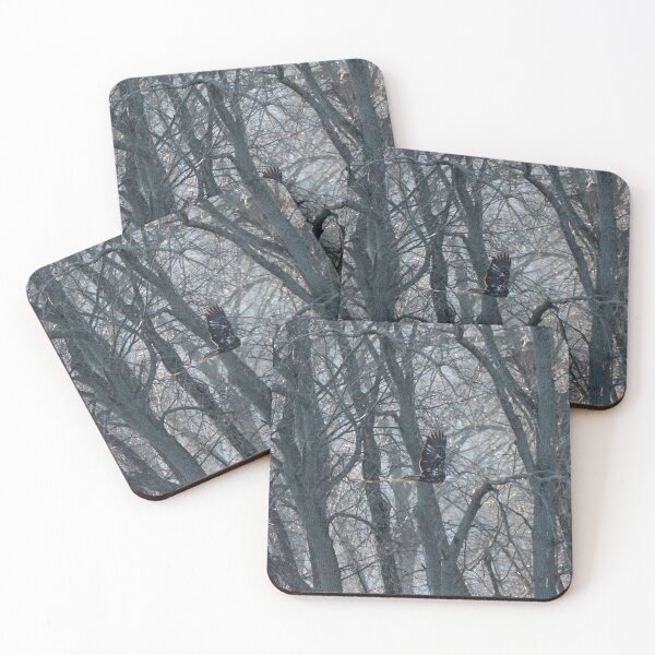 Item preview, Bald Eagle bring supplies to nest designed and sold by Susie Kramer.