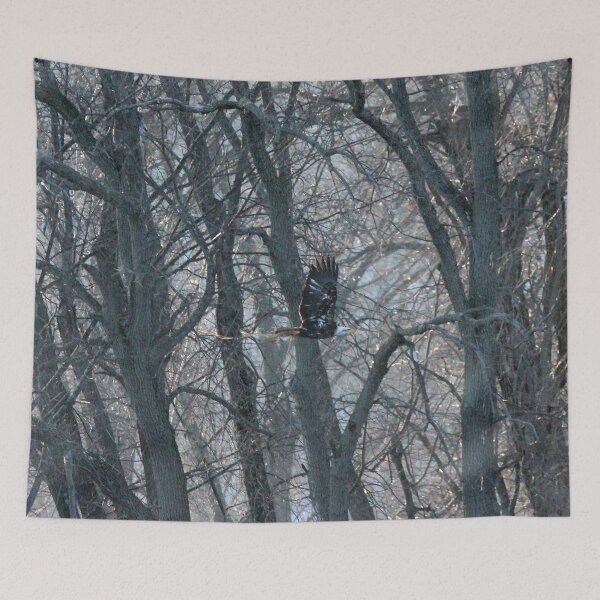 Item preview, Bald Eagle bring supplies to nest designed and sold by Susie Kramer.