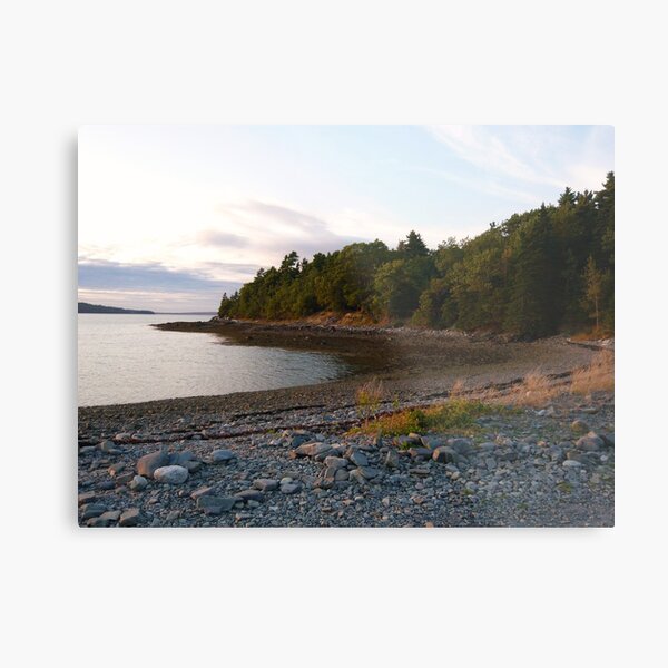 Landscape Photography - Acadia 15 Metal Print