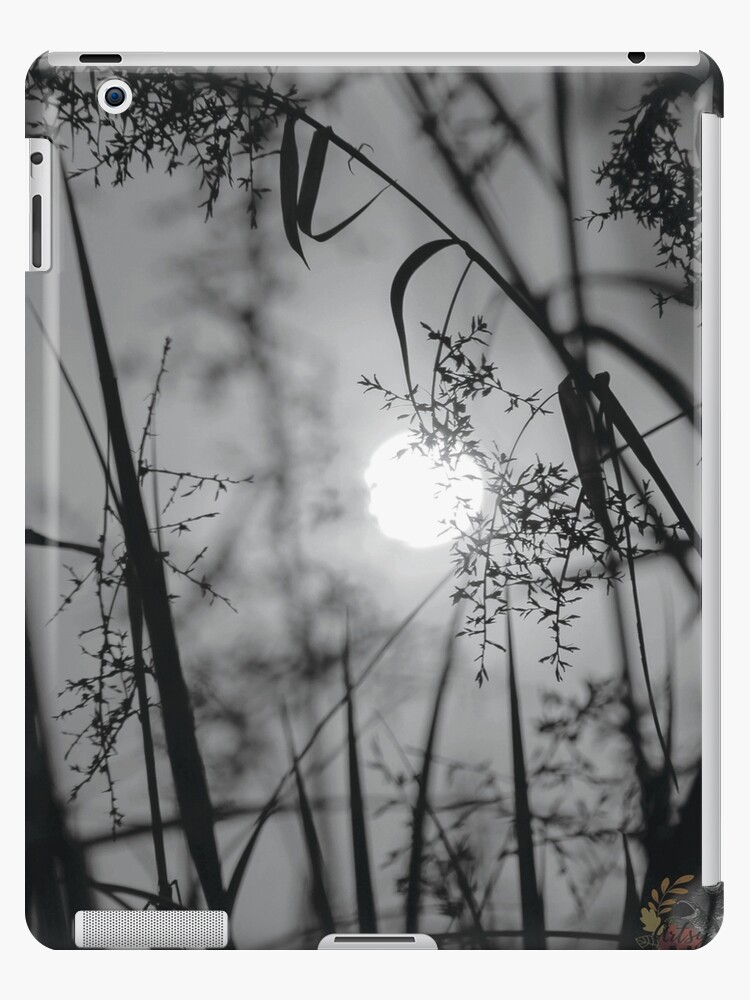Download Wild Grass Silhouette In Black And White Picture Ipad Case Skin By Artsysoul81 Redbubble