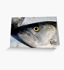 Bluefish Greeting Card