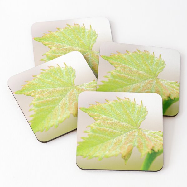 Item preview, Young vine leaf designed and sold by Grégory DUBUS.