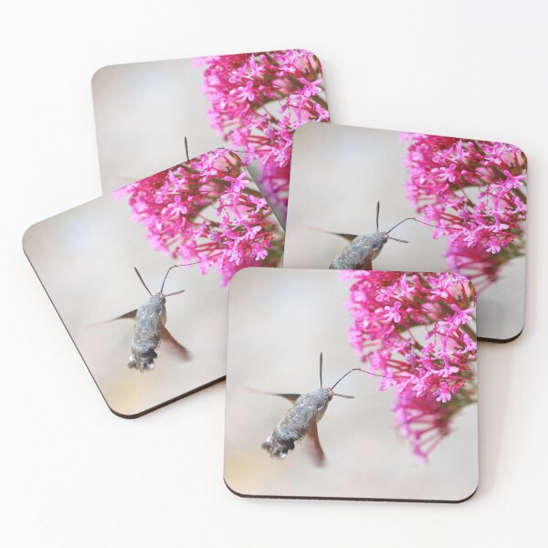 Item preview, Hummingbird Hawk-moth on Valerian flower designed and sold by Grégory DUBUS.
