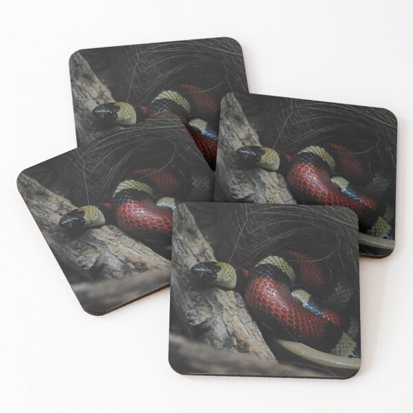 Item preview, Pueblan milk snake designed and sold by PunkBiologist.