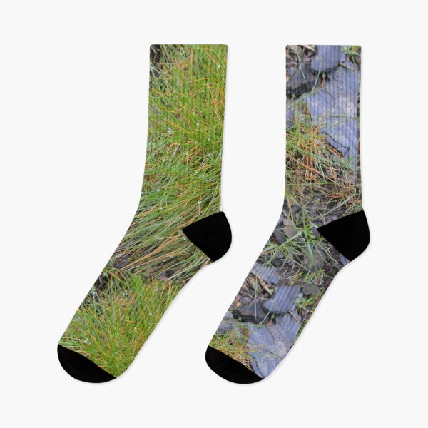 Item preview, Winter colorful grass and schist designed and sold by TaniaFilipa.