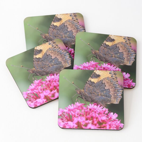 Item preview, Butterfly on valerian flower designed and sold by Grégory DUBUS.
