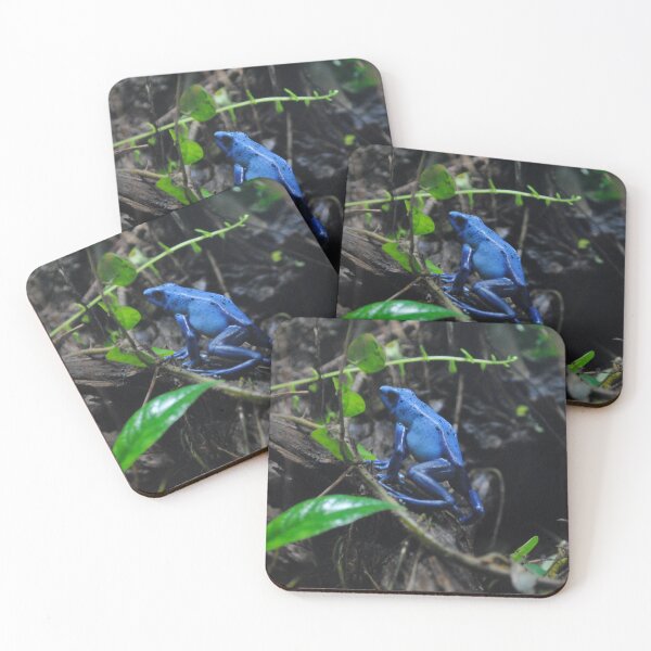Item preview, Blue poison dart frog designed and sold by PunkBiologist.