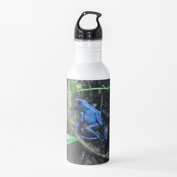 Blue poison dart frog Water Bottle