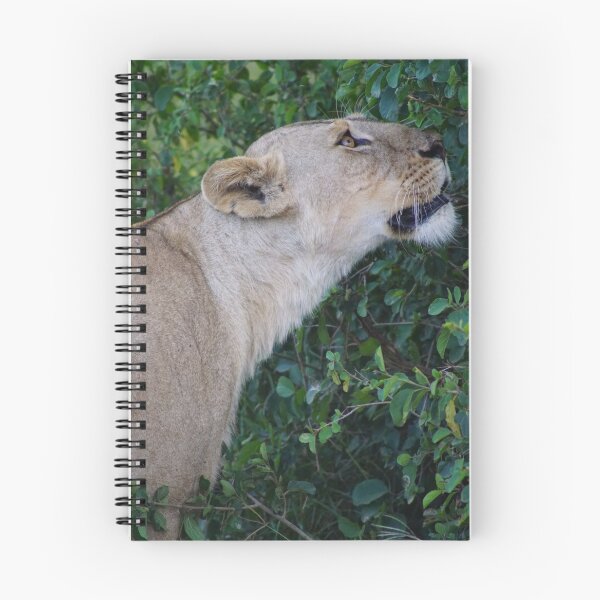 Item preview, Lioness after the hunt designed and sold by PunkBiologist.