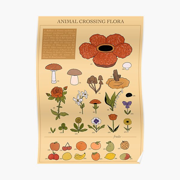 ANIMAL CROSSING FLORA Poster