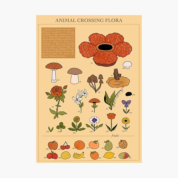 CROSSING FLORA ANIMAL Photographic Print