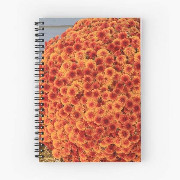 Item preview, Thanksgiving Pumpkins and Flowers designed and sold by AlexIPhotograph.