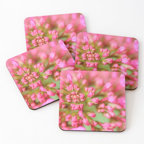 Item preview, Valerian flower designed and sold by Grégory DUBUS.