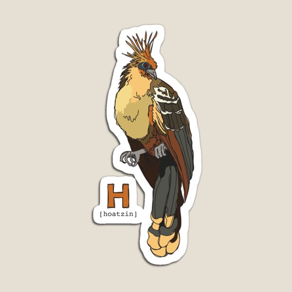 Funky Animal Alphabet: H is for Hoatzin Magnet