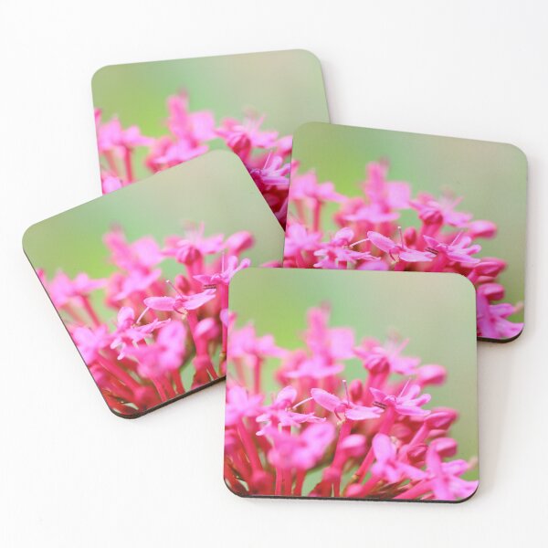 Item preview, Valerian flower designed and sold by Grégory DUBUS.