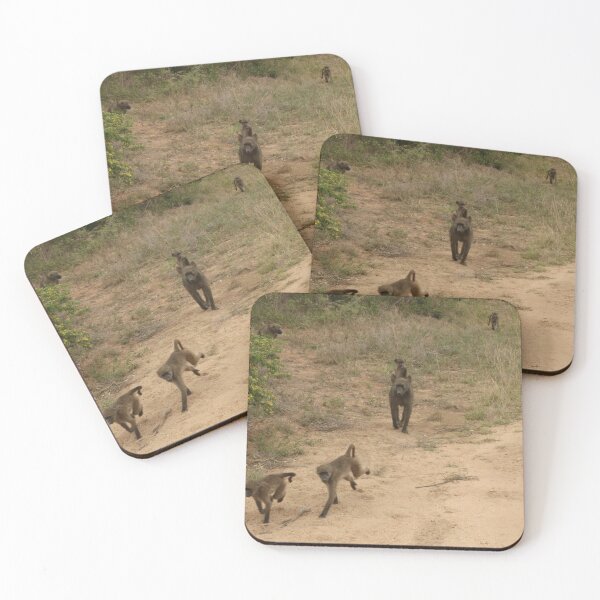 Item preview, Nature, animals, Africa, South Africa, Kruger NP, baboons, photography, BebiCervin designed and sold by BebiCervin.