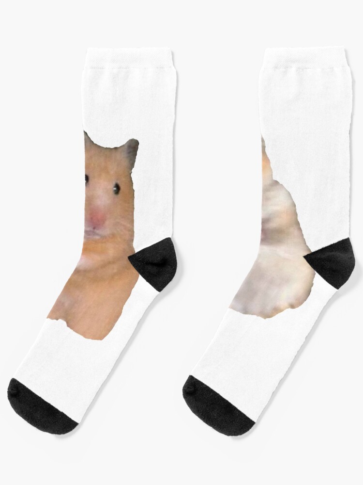 hamster in a sock