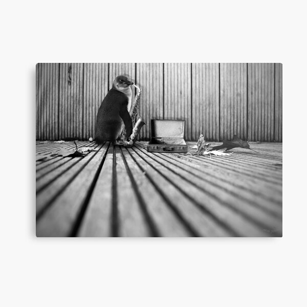 Street musician Metal Print