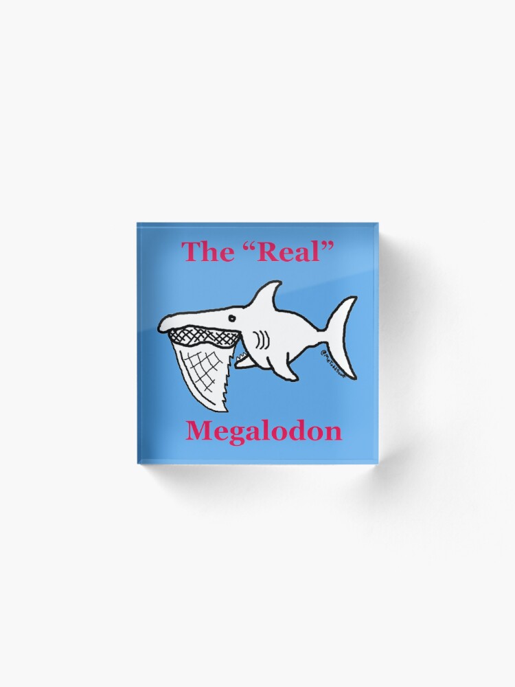 Der Echte Megalodon Acrylblock Von Metoddscott Redbubble