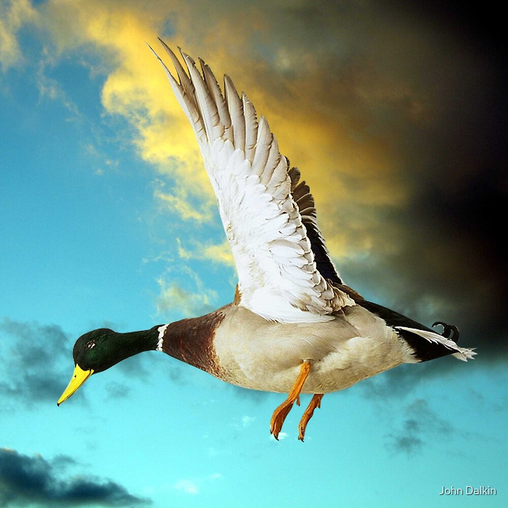 Duck Egg Blue By John Dalkin Redbubble   Flat,1000x1000,075,f.u4 