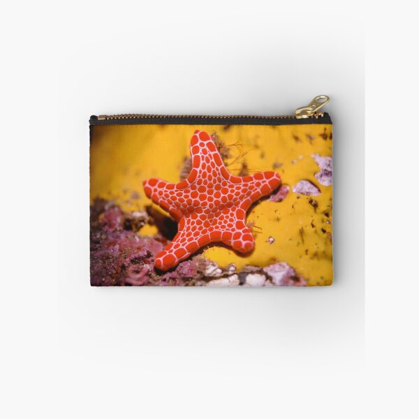 Item preview, Vermilion Biscuit Star designed and sold by Erik Schlogl.