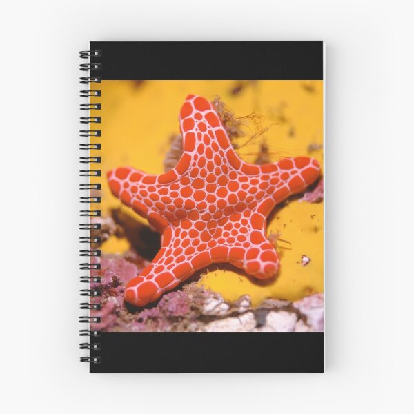 Item preview, Vermilion Biscuit Star designed and sold by Erik Schlogl.