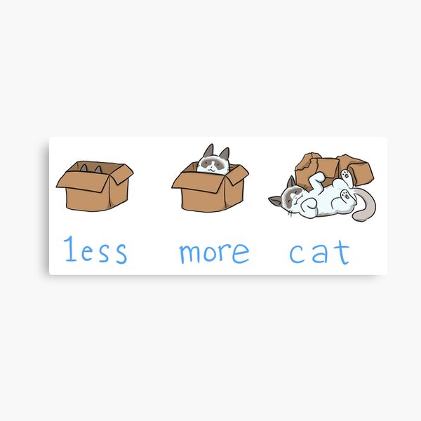 Less is more Canvas Print