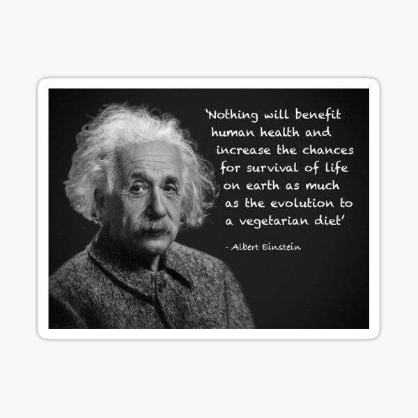 Albert Einstein Vegetarian Quote Einstein Vegetarian Gifts & Merchandise | Redbubble