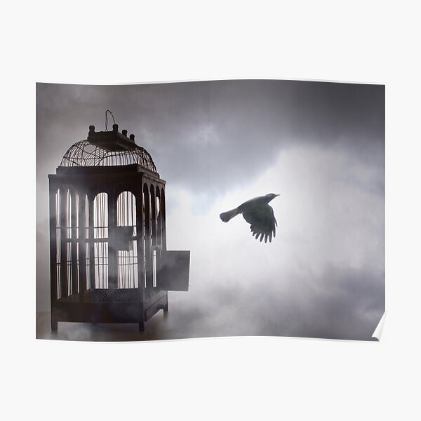 The Free Bird Poster