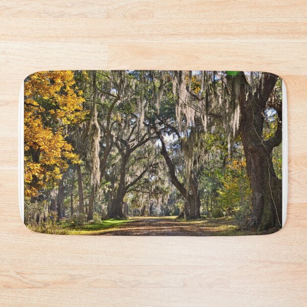 Item preview, The Entrance To Old House Plantation Beaufort South Carolina designed and sold by LisaWootenPhoto.
