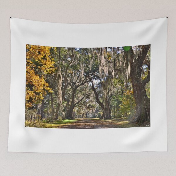 Item preview, The Entrance To Old House Plantation Beaufort South Carolina designed and sold by LisaWootenPhoto.