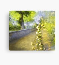 Aranjuez 3 Canvas Print