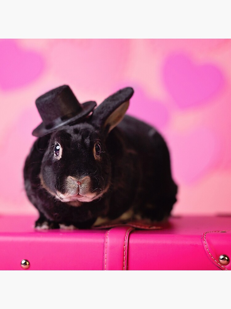 Valentine Bunny Rabbit by lhezlep