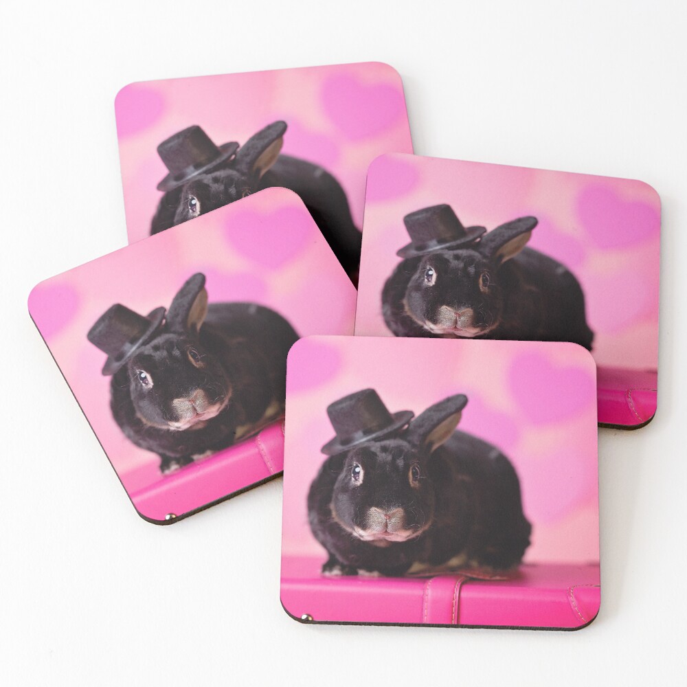 Valentine Bunny Rabbit Coasters (Set of 4)
