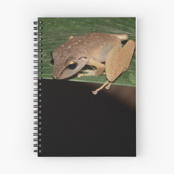 Item preview, Robber Frog, Parque Nacional del Manu, Peru designed and sold by Erik Schlogl.