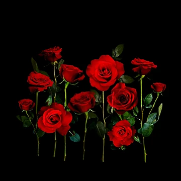 Artwork thumbnail, Red Roses by IrishVikingDesigns